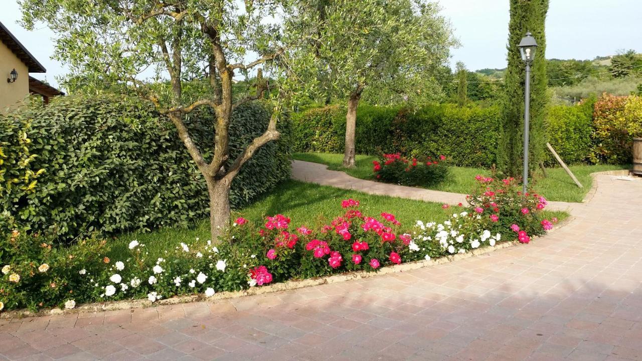 Valle Del Metauro Country House Montemaggiore al Metauro Exteriér fotografie