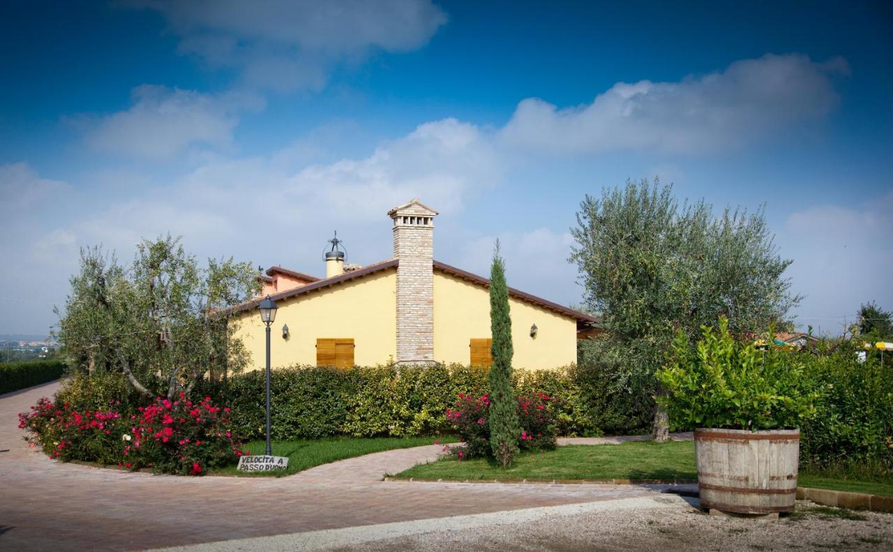 Valle Del Metauro Country House Montemaggiore al Metauro Exteriér fotografie